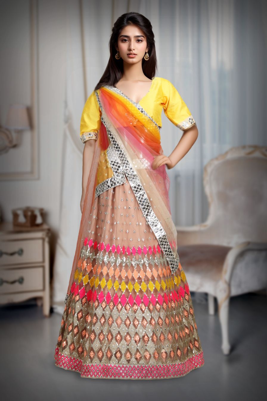 Multicolour Butterfly Net Mirror Work Lehenga