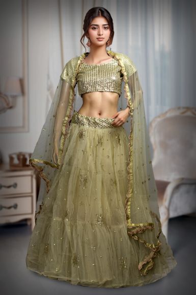 Pastel Green Net Embroidered Lehenga With Same Colour Dupatta And Blouse